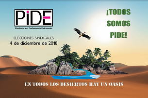 Cartel electoral PIDE