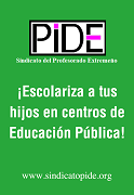 Escolarización Educación Pública